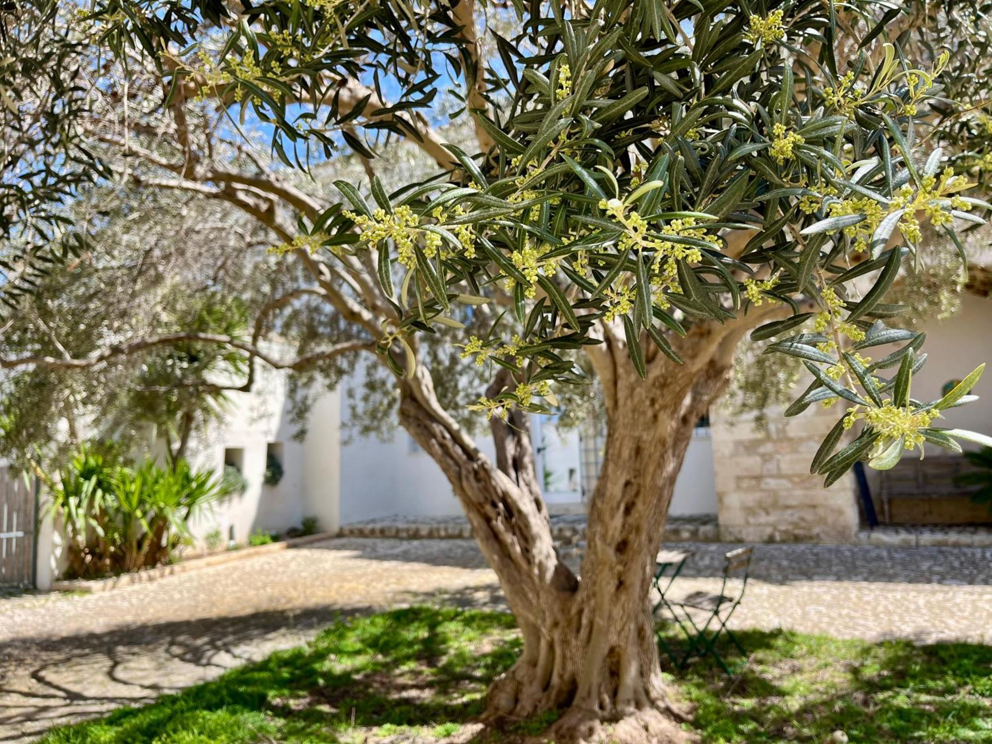 Dimora Di Dante Bed & Breakfast Chiaramonte Gulfi Eksteriør bilde